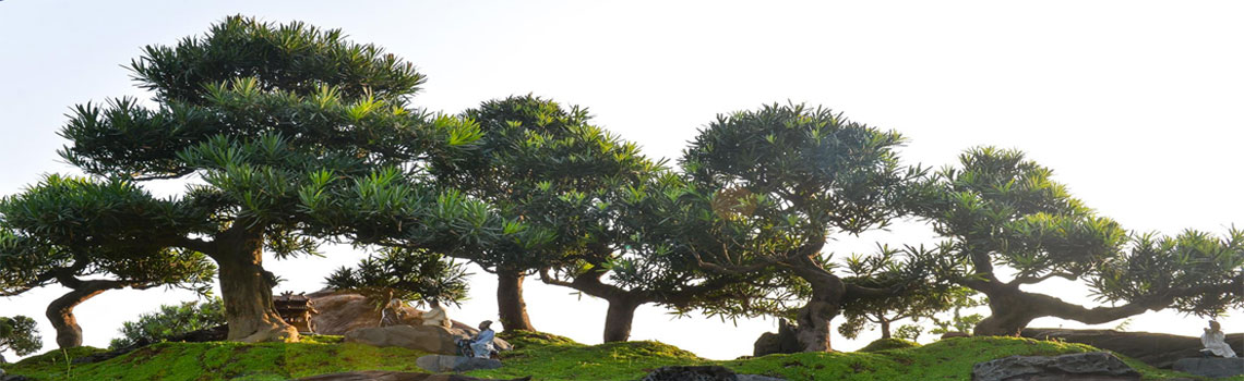 Hoi-sinh-vat-canh-dong-nai-1