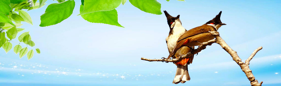 Hoi-sinh-vat-canh-dong-nai-4