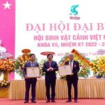 sinh vat canh viet nam