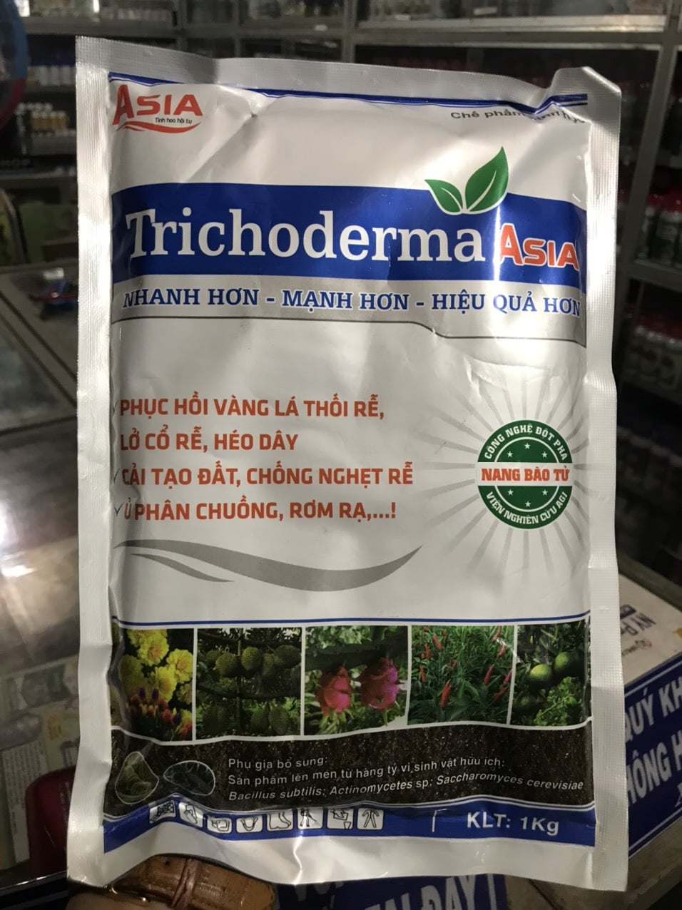 trichoderma-asia