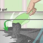 Cách chuẩn bị bể nuôi và chăm sóc cá Bống Peacock bột - shopmini