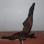 Cách Ghép Lan Đai Châu Vào Gỗ Nhãn Qua 5 Bước