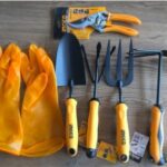 Tất tần tật về cách nhân giống cây Kim Ngân