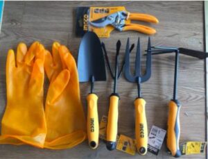 Tất tần tật về cách nhân giống cây Kim Ngân