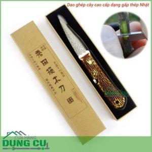 Hướng dẫn kỹ thuật chiết tách cành lan - Làm thợ