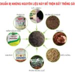 Cách trộn đất trồng cây hiệu quả với mọi loại cây trồng. - Lợi Lợi Dân