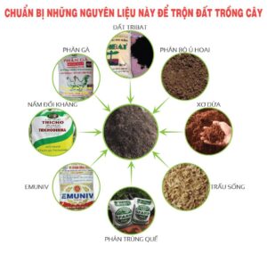 Cách trộn đất trồng cây hiệu quả với mọi loại cây trồng. - Lợi Lợi Dân
