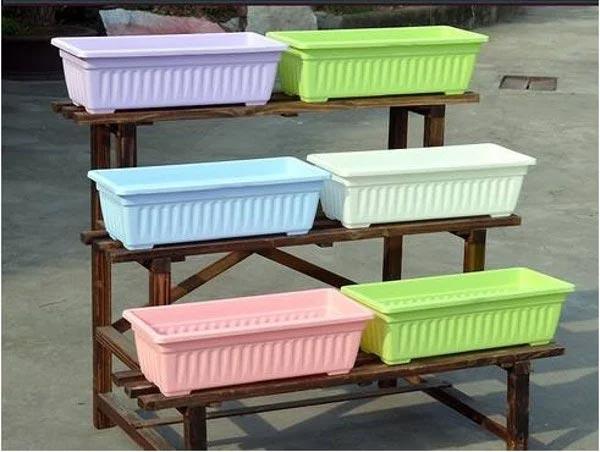 Cách trồng dâu tây bằng hạt