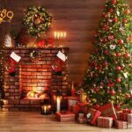 17 Các Loại Cây Cảnh Vừa Làm Quà Tặng Giáng Sinh Vừa Decor