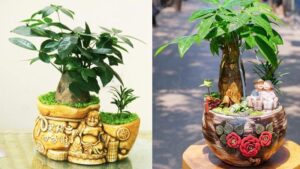 CÂY KIM NGÂN: Ý nghĩa phong thủy, hợp mệnh, tuổi gì? - Xwatch