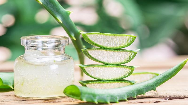 Bạn có thể thoa gel lô hội trực tiếp lên da hoặc làm theo các công thức chăm sóc da khác nhau.