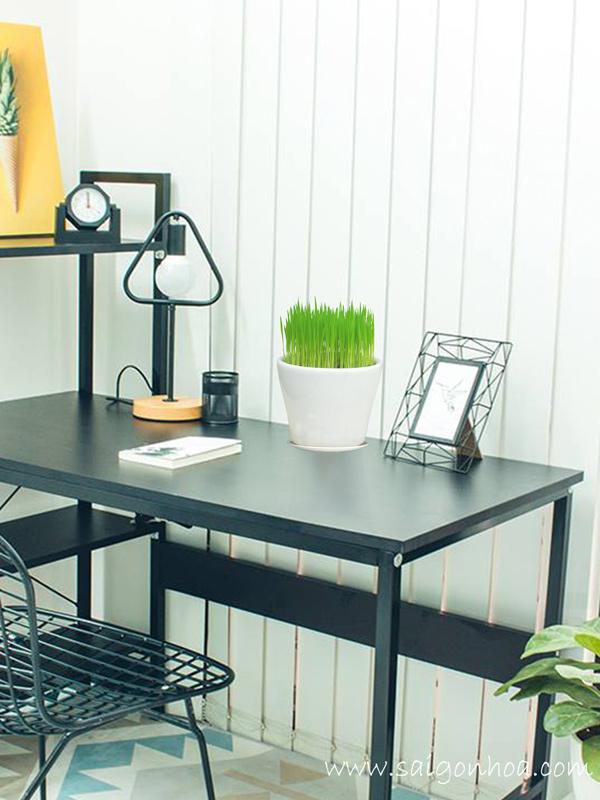 Chậu Cây Để Bàn