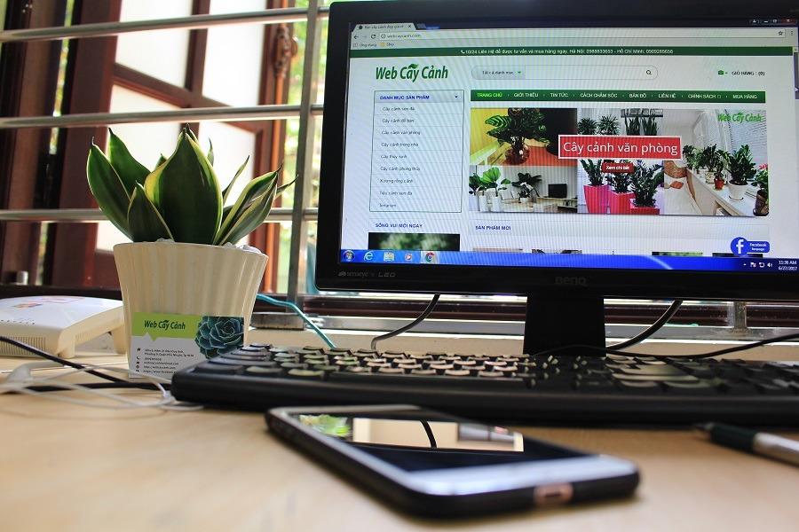 tat-ca-nhung-thong-tin-ve-cay-luoi-ho-thai