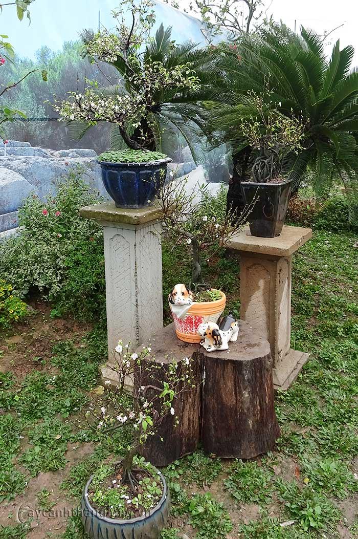 nhat chi mai dang truc