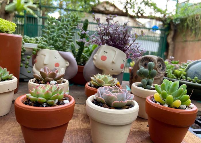 Những chậu sen đá mini với nhiều hình dáng khác nhau sẽ giúp cho ban công của bạn trở nên đáng yêu hơn