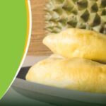 Cây sầu riêng: cách trồng, chọn giống, chăm sóc và những điều