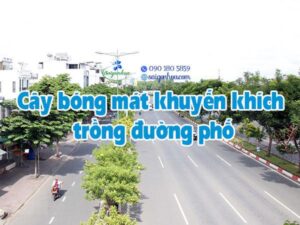 17 cây bóng mát khuyến khích trồng đường phố - Sài Gòn Hoa