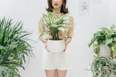 cây cung điện vàng