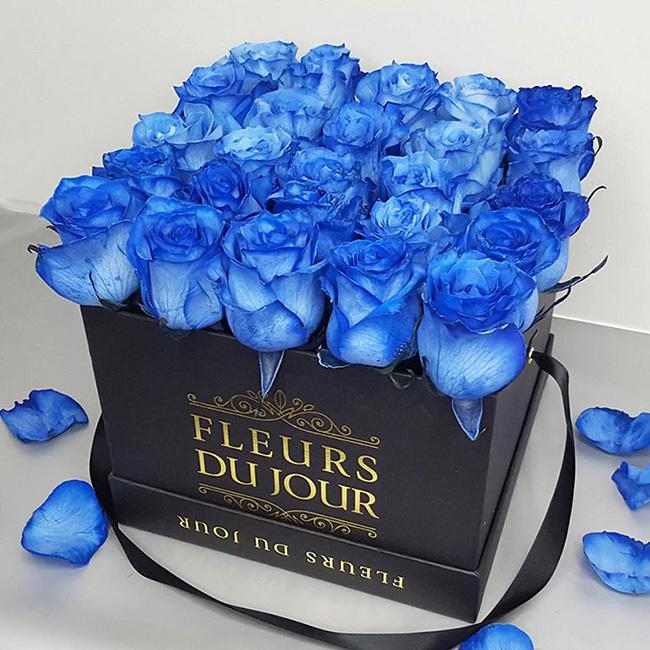 Ý nghĩa hoa hồng xanh dương