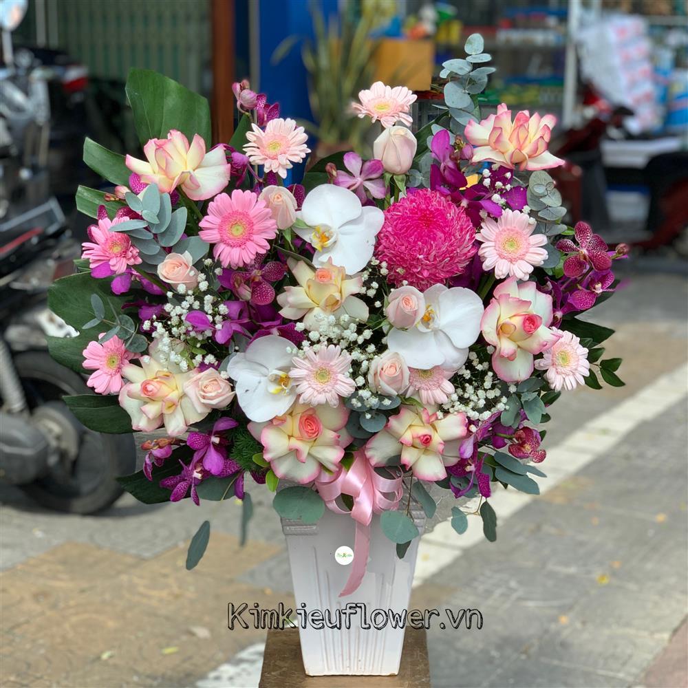chậu hồ điệp để bàn tặng thầy cô
