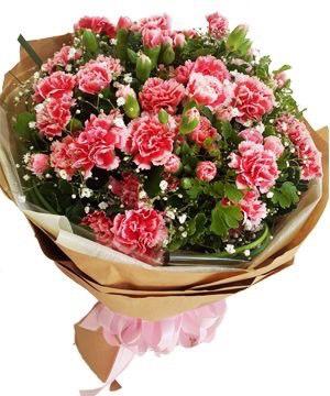 bó hoa cẩm chướng một bông dễ thương cho các em học sinh tặng thầy cô