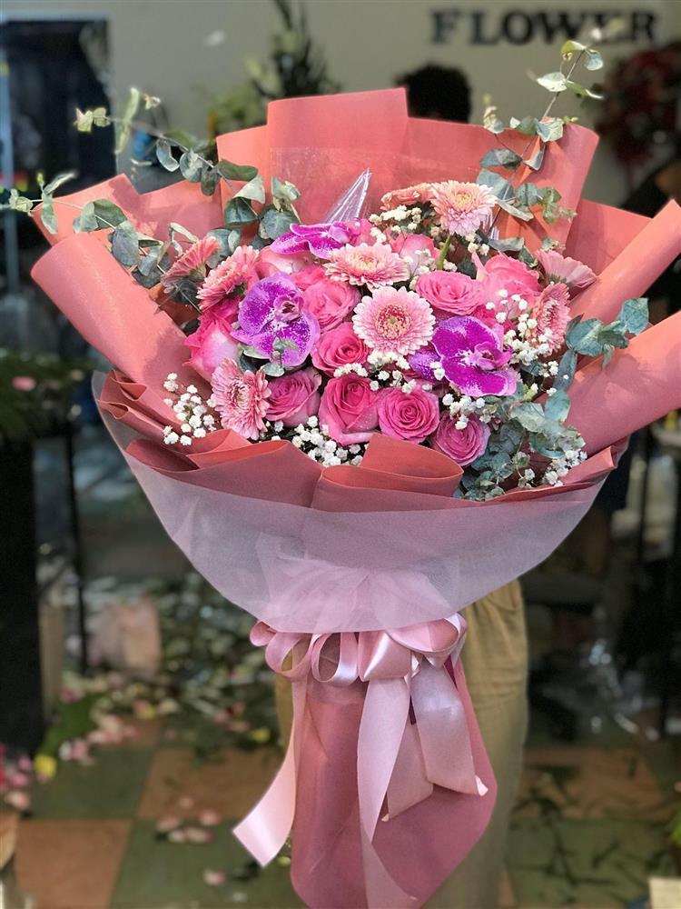 hoa đồng tiền nhiều màu sắc
