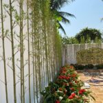 TOP 18 cây hoa trồng hàng rào đẹp được ưa chuộng nhất hiện nay