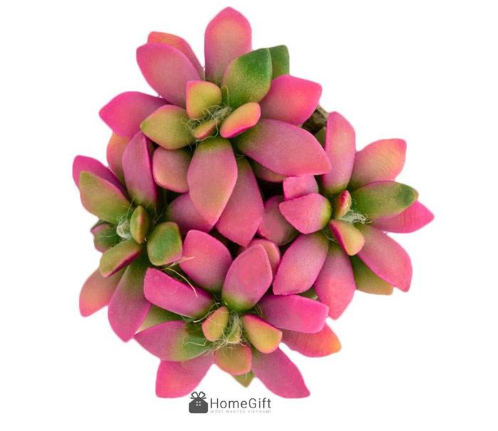 Sen đá sỏi trắng