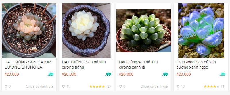 Sen đá kim cương