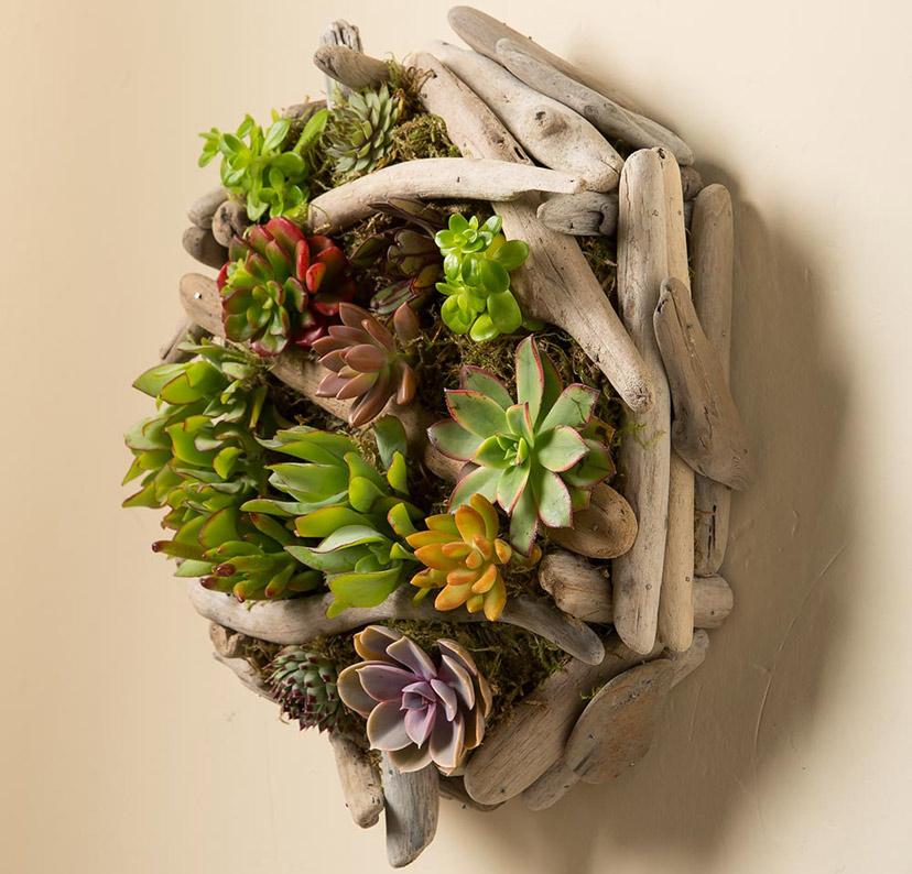 Khung-tranh-sen-đá-treo-tường-khung-cây-gỗ-tự-nhiên