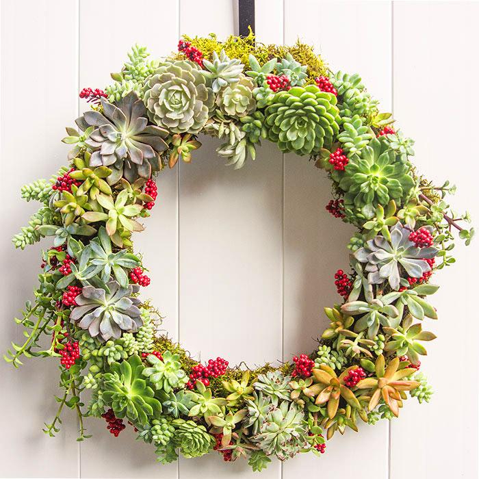 Vòng hoa trang trí treo tường bằng sen đá ngày cưới