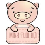 Người tuổi Hợi hợp cây phong thủy gì? - Web cây cảnh