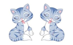 Tuổi Mão hợp cây gì? Để mang đến tài lộc, may mắn và sức khỏe