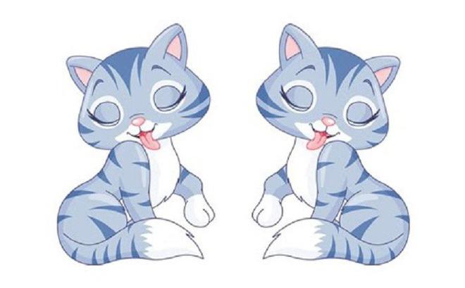 Tuổi Mão hợp cây gì? Để mang đến tài lộc, may mắn và sức khỏe