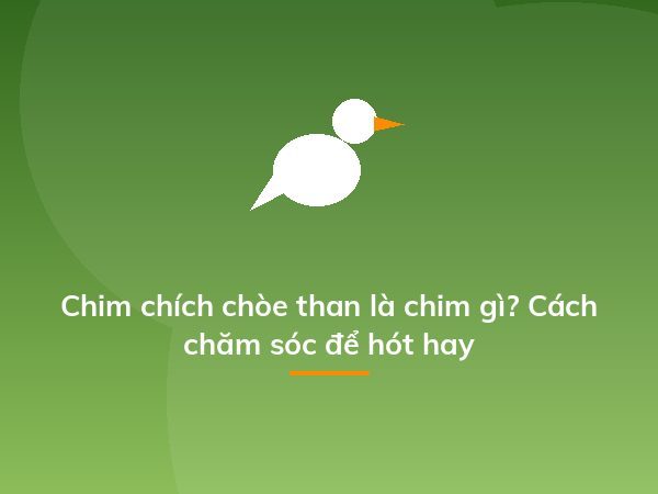Cách trồng dạ yến thảo từ 1 nắm hạt cây, dễ ợt mà kết quả "hú hồn