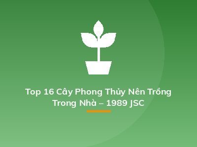 Top 16 Cây Phong Thủy Nên Trồng Trong Nhà – 1989 JSC