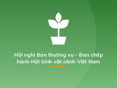 Hội nghị Ban thường vụ – Ban chấp hành Hội Sinh vật cảnh Việt Nam