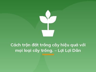 Cách trộn đất trồng cây hiệu quả với mọi loại cây trồng. – Lợi Lợi Dân