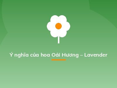 Ý nghĩa của hoa Oải Hương – Lavender