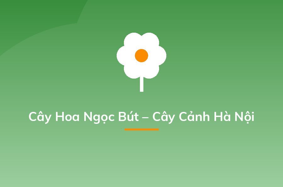 Kinh doanh cây cảnh - cách kiếm "một vốn bốn lời" nhanh nhất - Sapo
