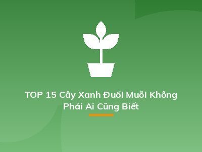 TOP 15 Cây Xanh Đuổi Muỗi Không Phải Ai Cũng Biết