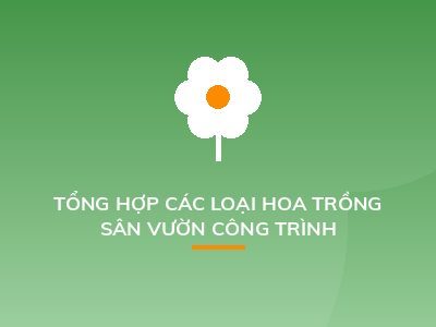 TỔNG HỢP CÁC LOẠI HOA TRỒNG SÂN VƯỜN CÔNG TRÌNH