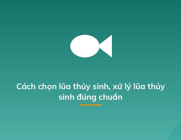 Cách chọn lũa thủy sinh, xử lý lũa thủy sinh đúng chuẩn