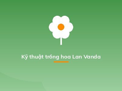 Kỹ thuật trồng hoa Lan Vanda