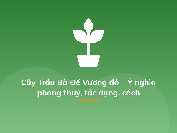 Cách trồng dạ yến thảo từ 1 nắm hạt cây, dễ ợt mà kết quả "hú hồn