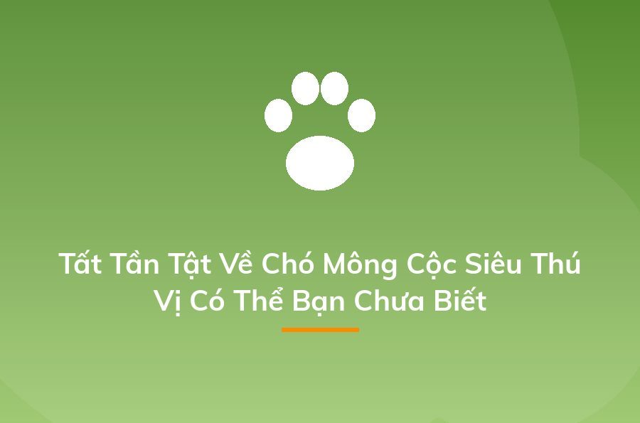 Kinh doanh cây cảnh - cách kiếm "một vốn bốn lời" nhanh nhất - Sapo