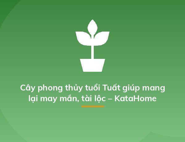 Cây phong thủy tuổi Tuất giúp mang lại may mắn, tài lộc – KataHome