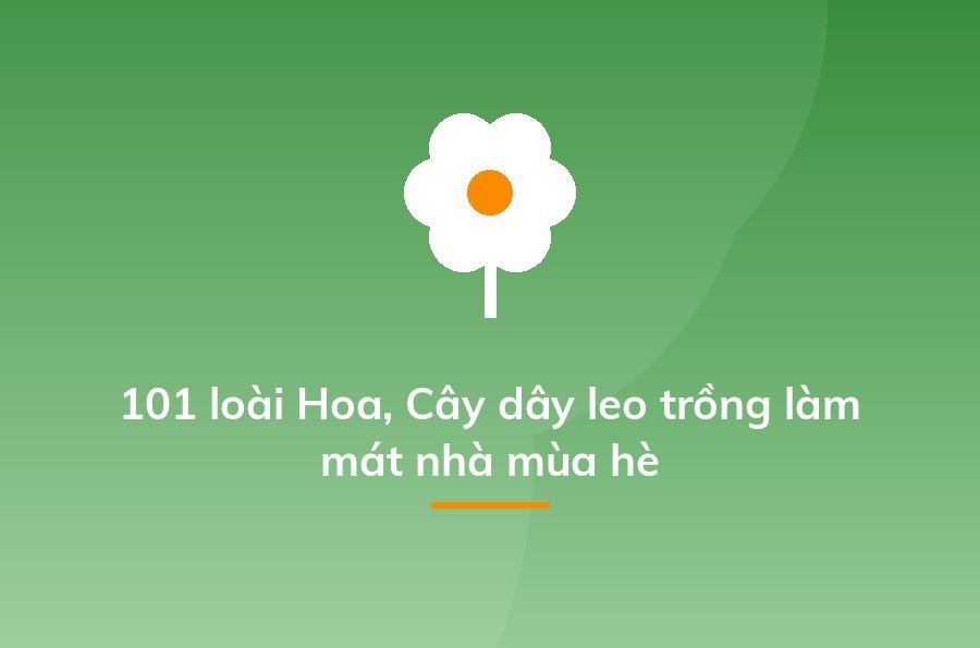 Kinh doanh cây cảnh - cách kiếm "một vốn bốn lời" nhanh nhất - Sapo