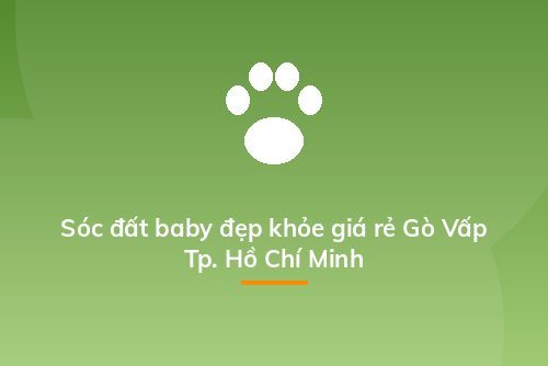Sóc đất baby đẹp khỏe giá rẻ Gò Vấp Tp. Hồ Chí Minh
